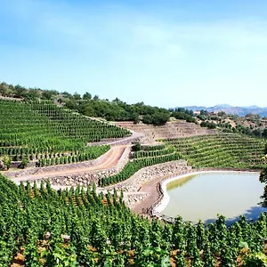 La Gelsomina - Etna Presa